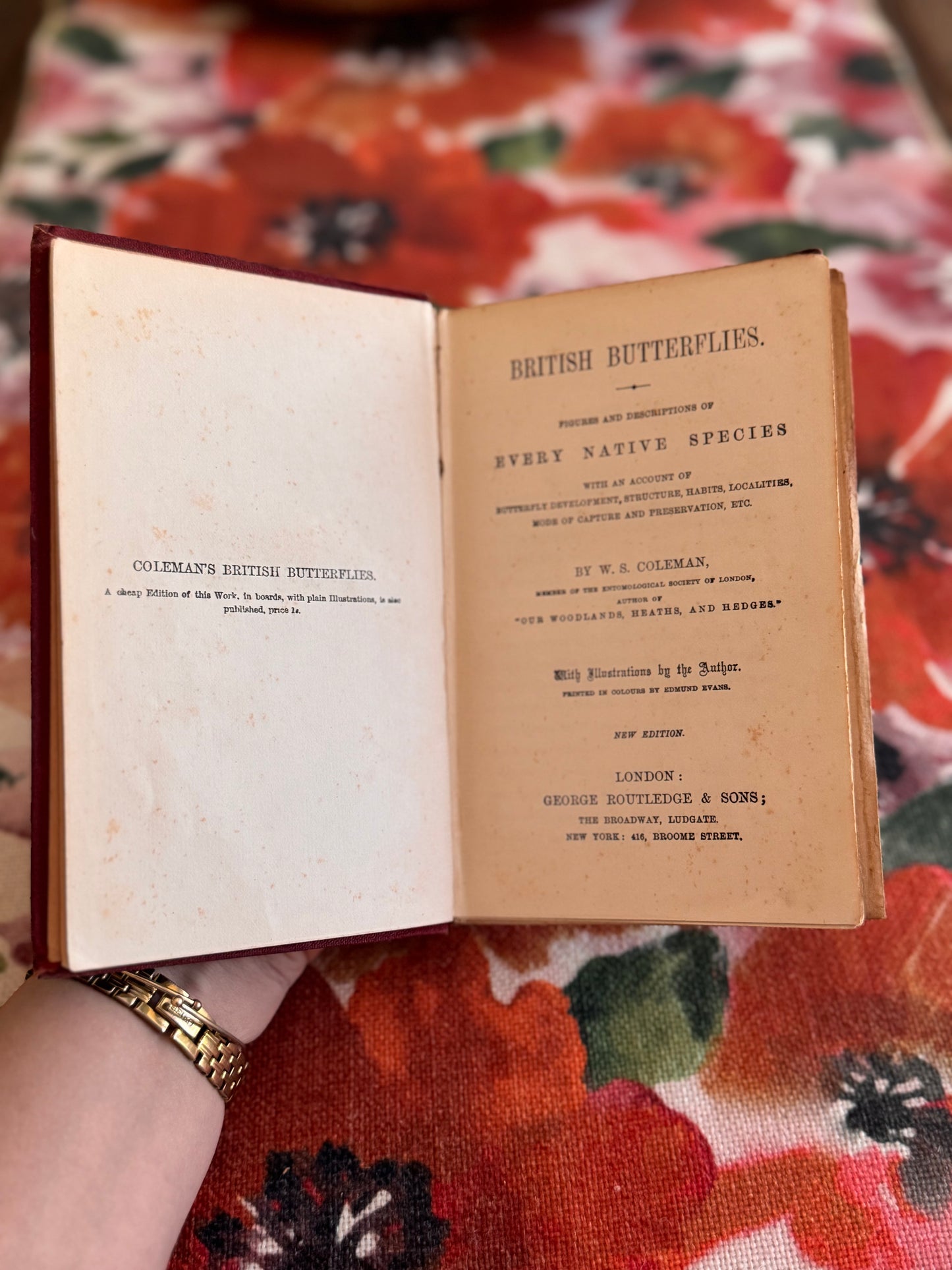 RESERVED FOR RHI Antique Victorian Copy of Common British Butterflies by WS Coleman Routledge 1880