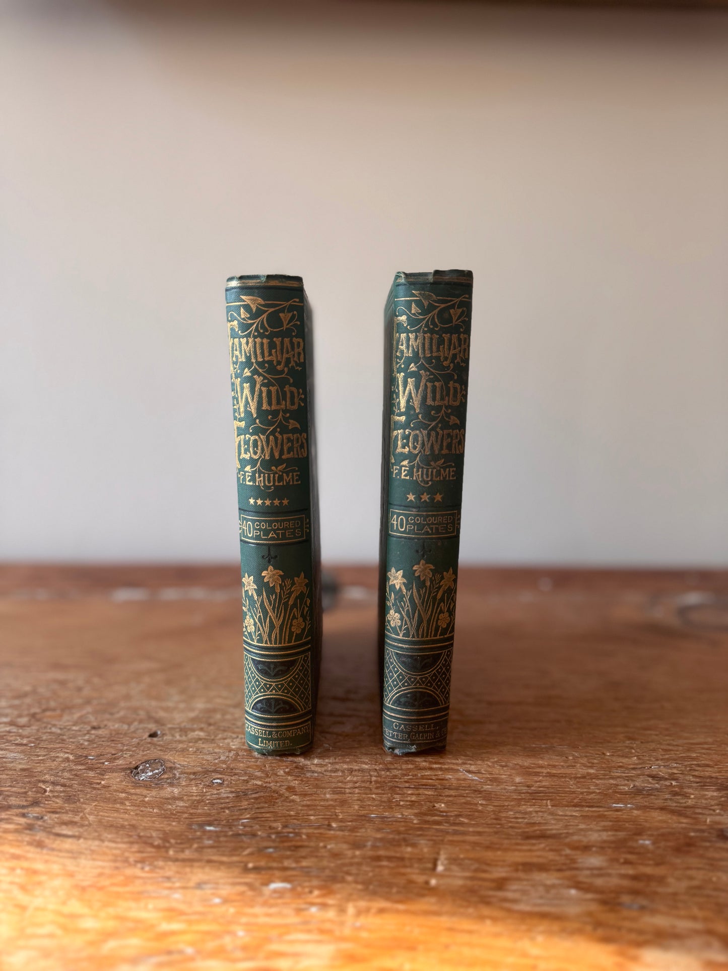 Antique 1880 Familiar Wild Flowers Edward Hulme Partial Book Set Hand Painted Illustrated