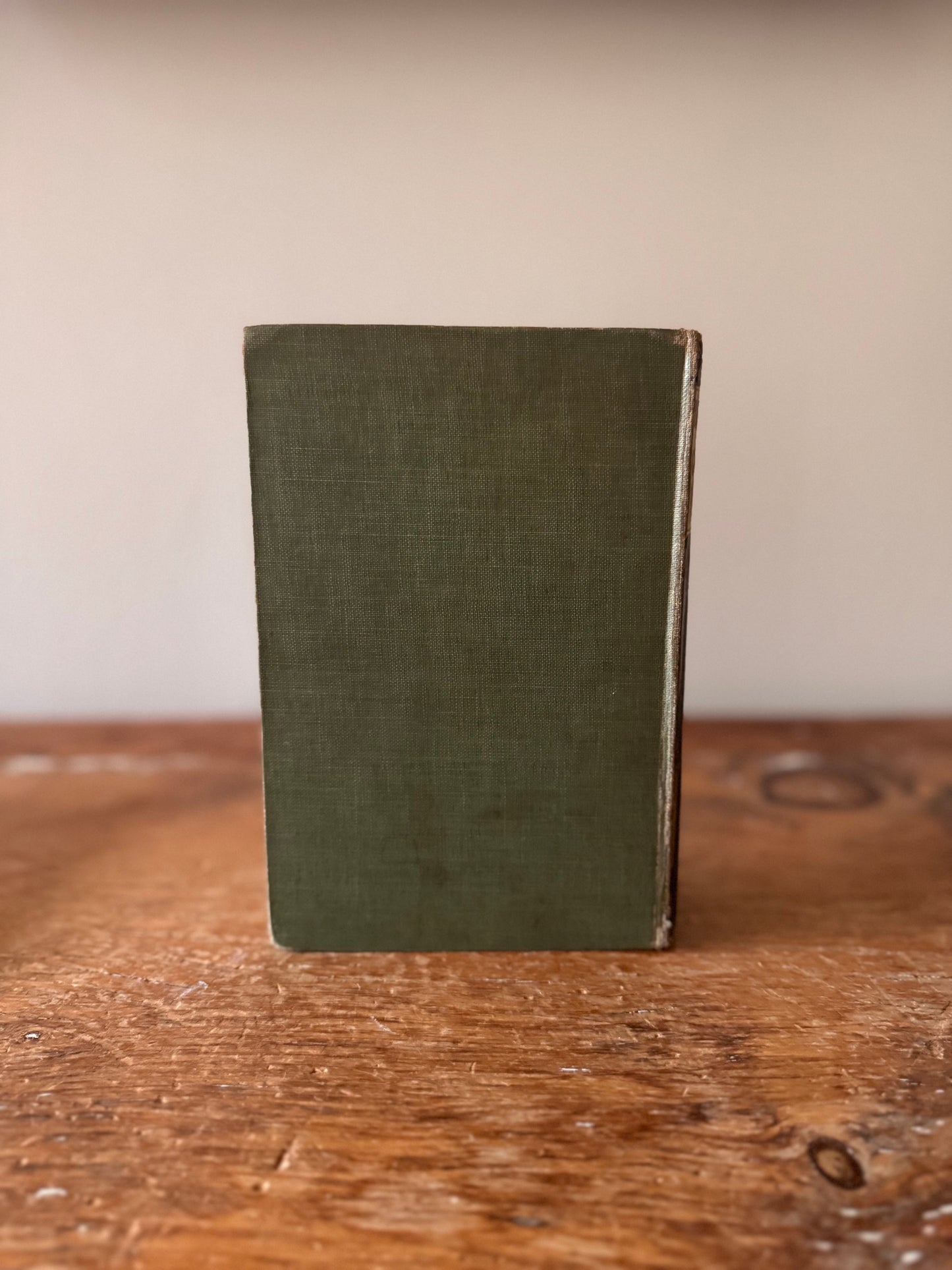 Antique Little Women and Good Wives by Louisa May Alcott Early 1900s Decorative