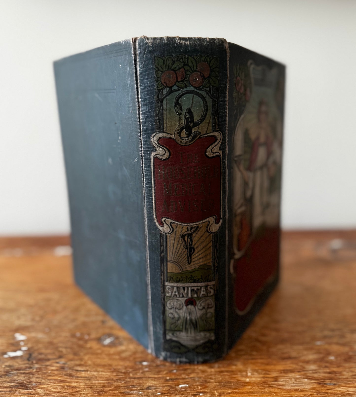 The Household Medical Advisor by Muller, MD 1900s Book Illustrated