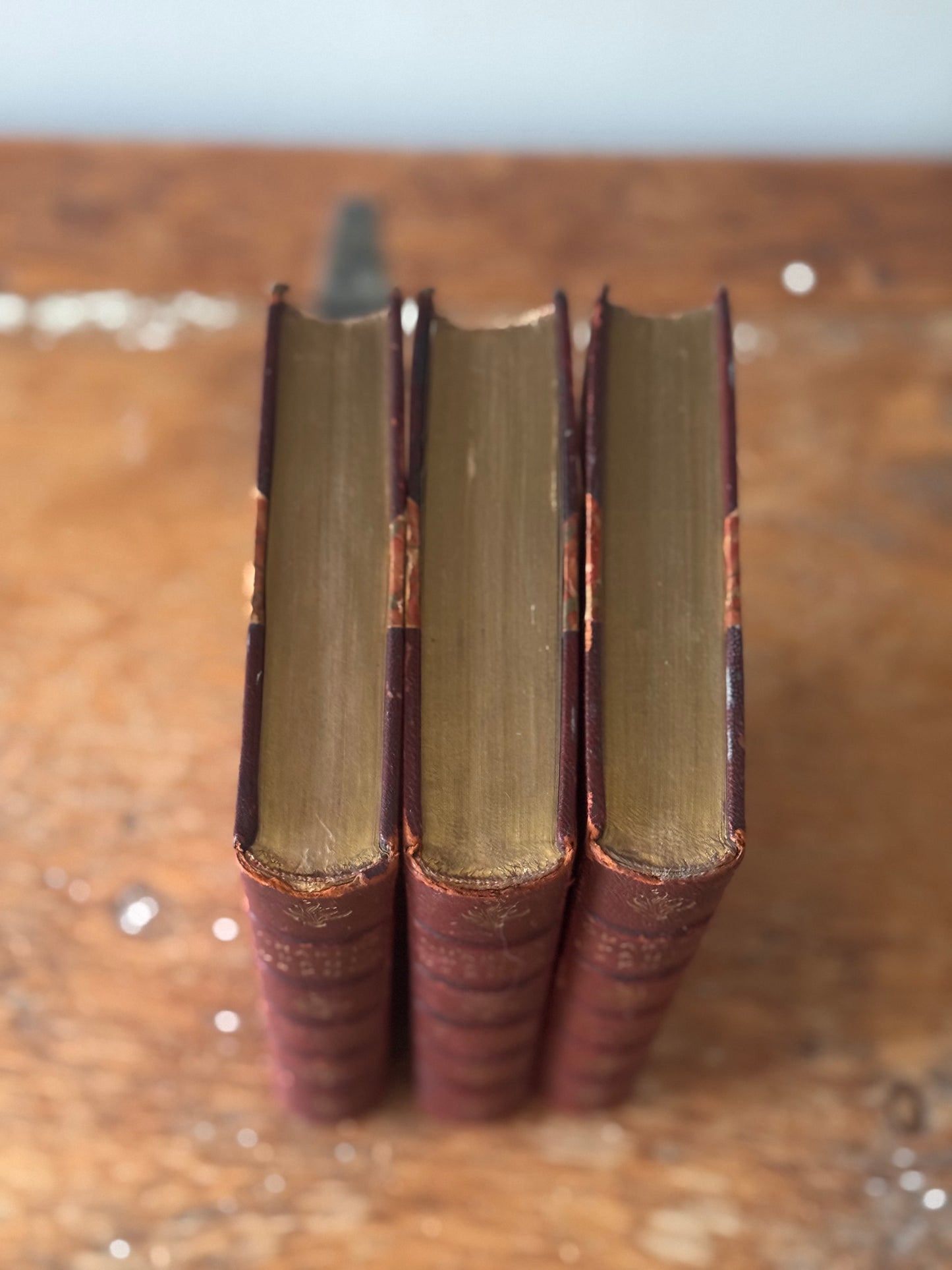 Antique Leather Marbled Set Of Works By Charles DeKock 1903