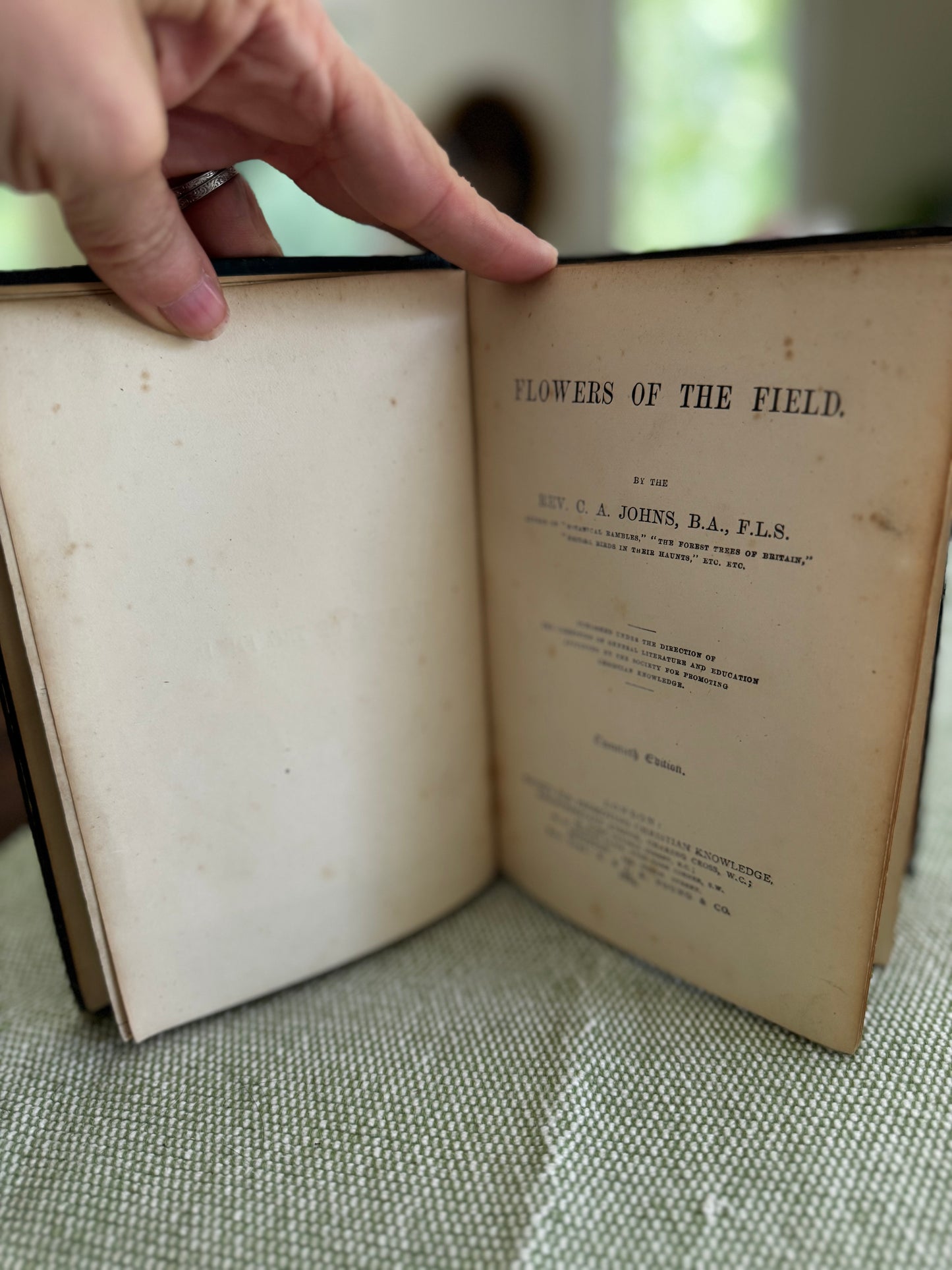 Antique Flowers of the Field Rev CA Johns 1884 Book