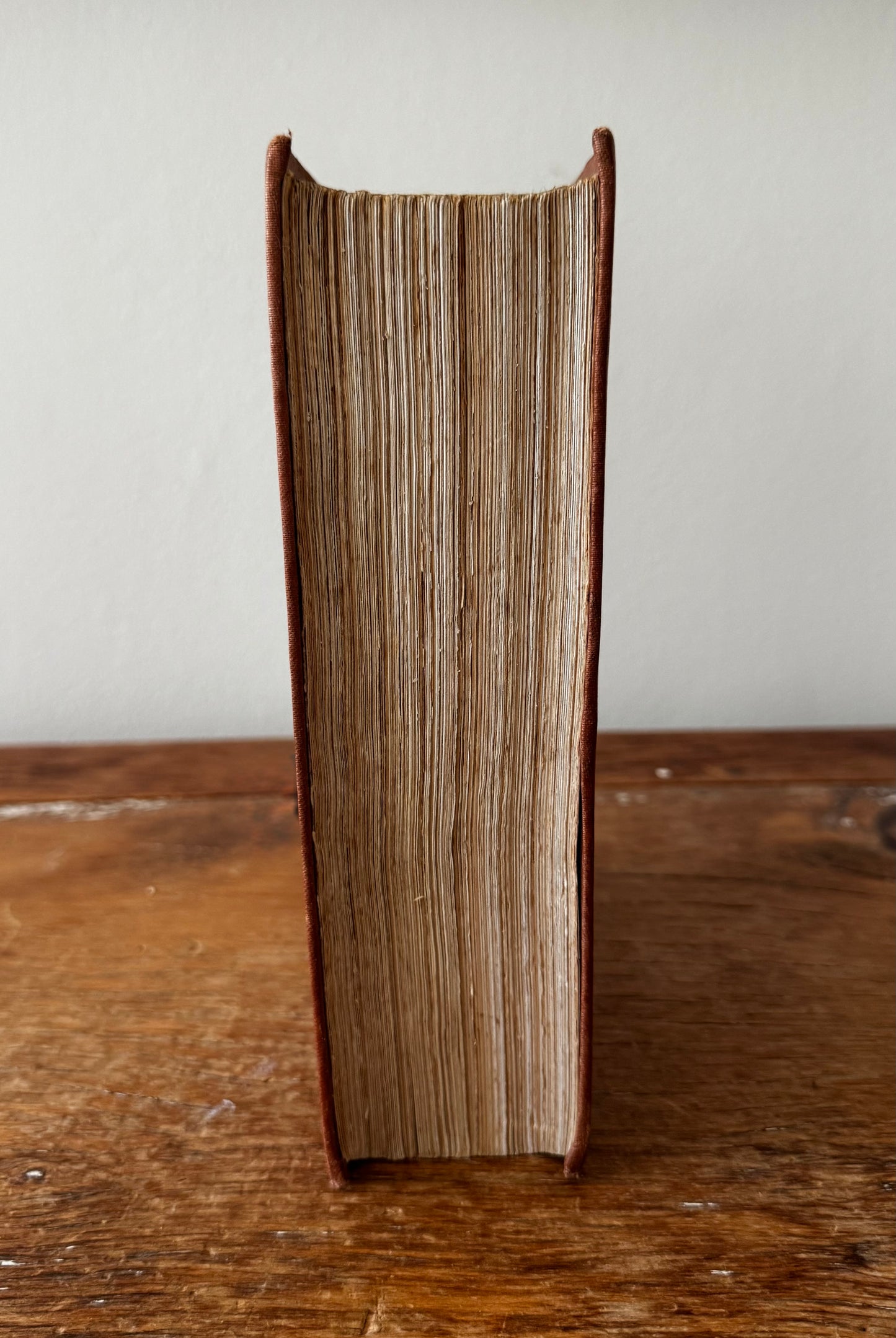 Bird of Britain by J. Lewis Bonhote 1907 Highly Illustrated Book