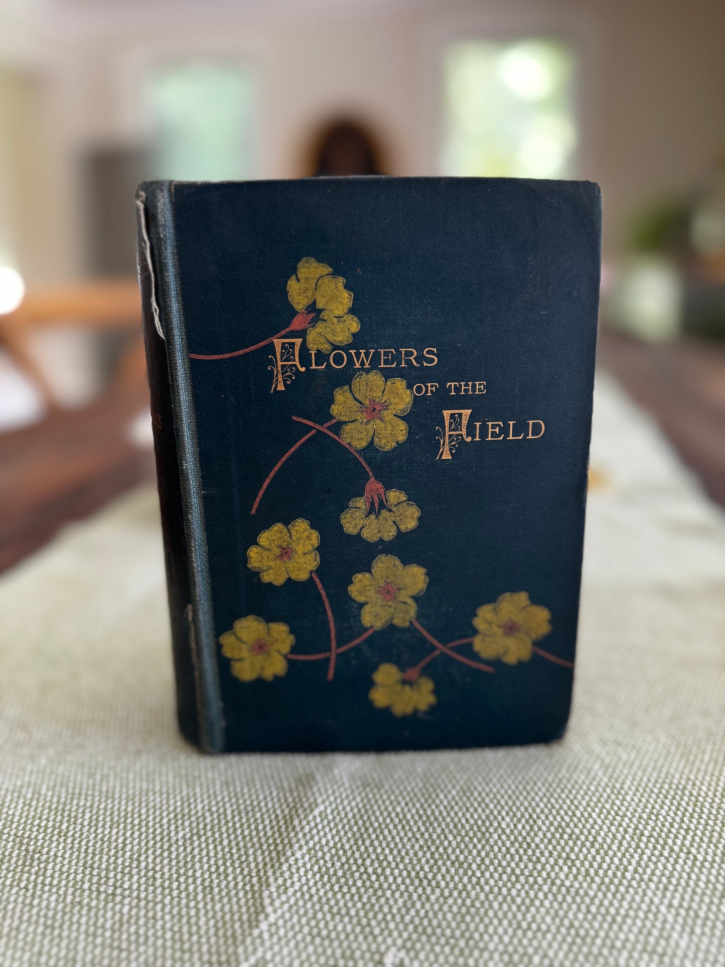 Antique Flowers of the Field Rev CA Johns 1884 Book