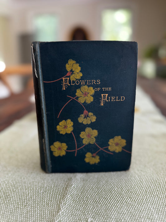 Antique Flowers of the Field Rev CA Johns 1884 Book