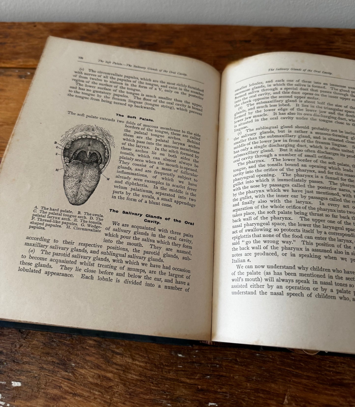 The Household Medical Advisor by Muller, MD 1900s Book Illustrated