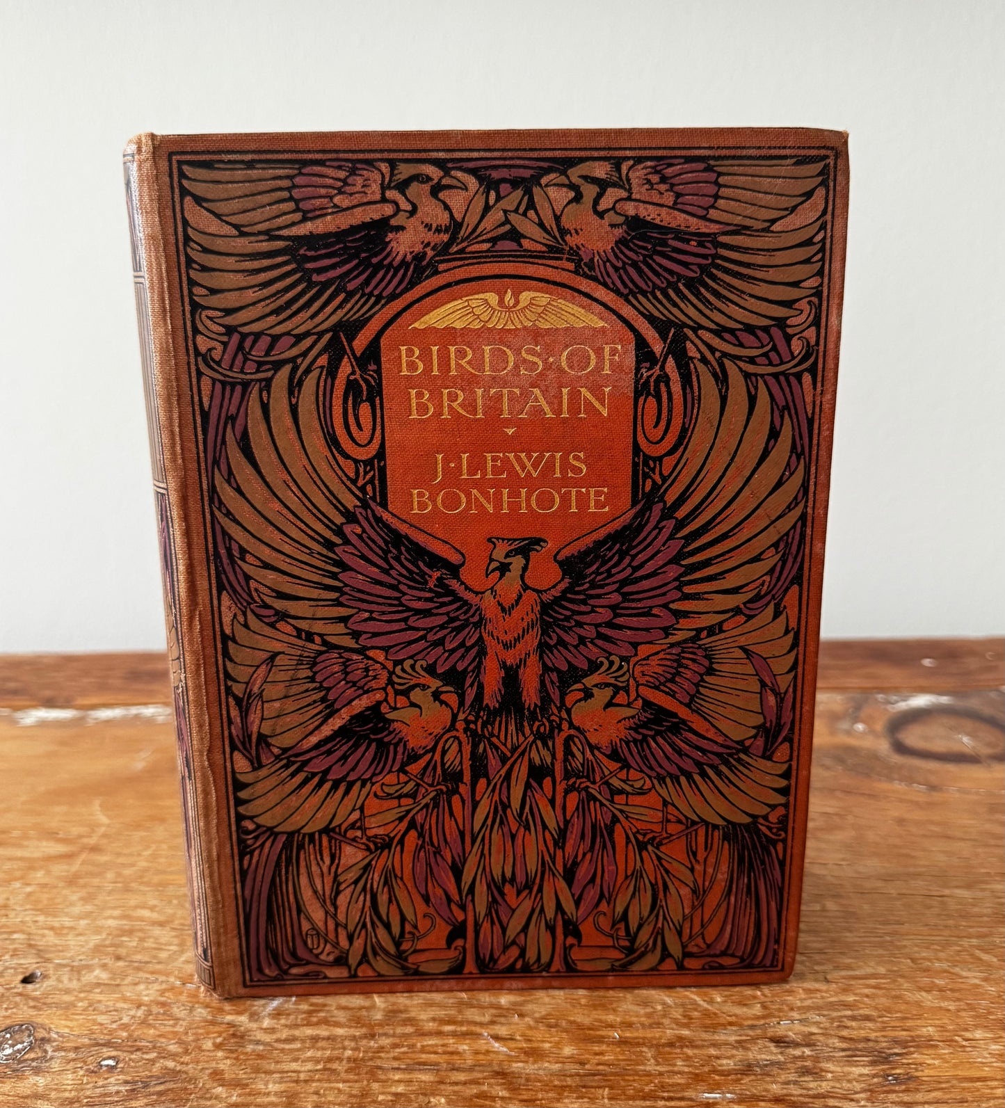 Bird of Britain by J. Lewis Bonhote 1907 Highly Illustrated Book