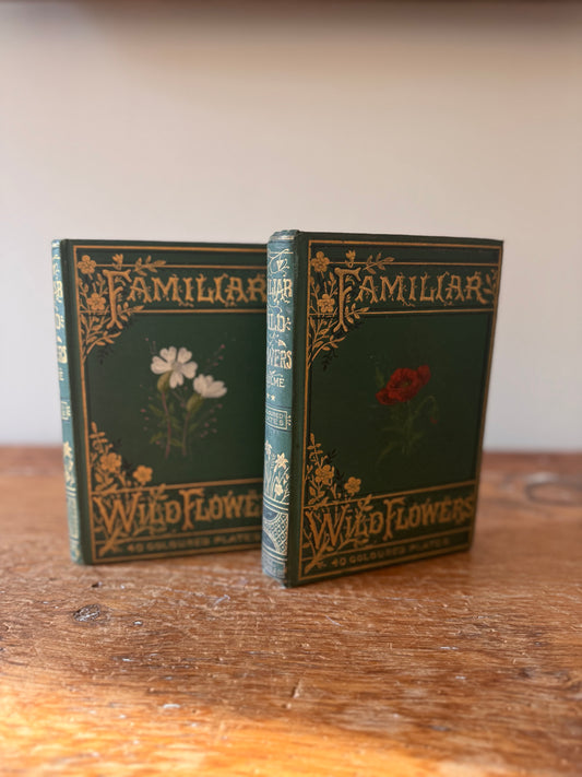Antique 1880 Familiar Wild Flowers Edward Hulme Partial Book Set Hand Painted Illustrated
