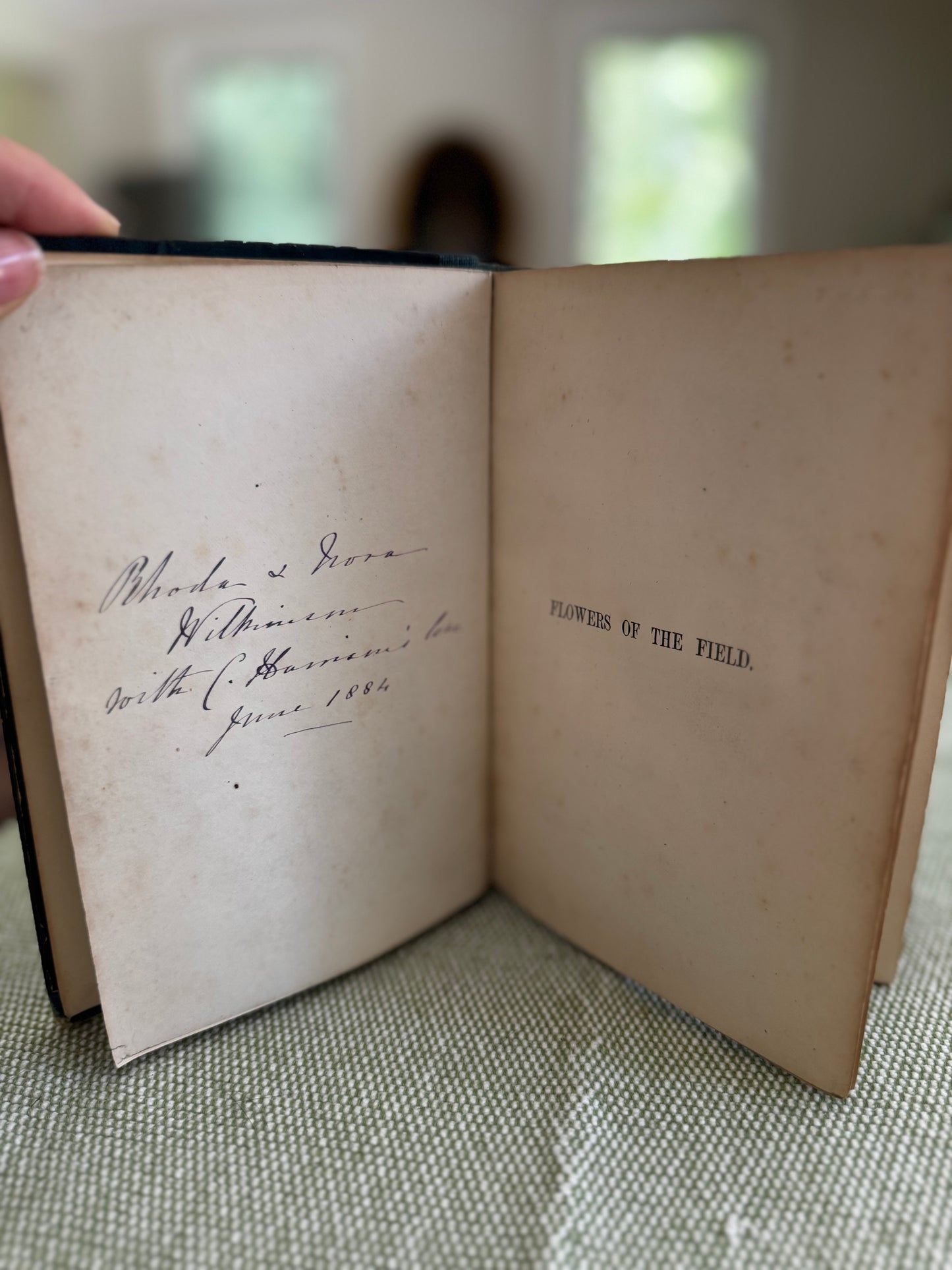 Antique Flowers of the Field Rev CA Johns 1884 Book