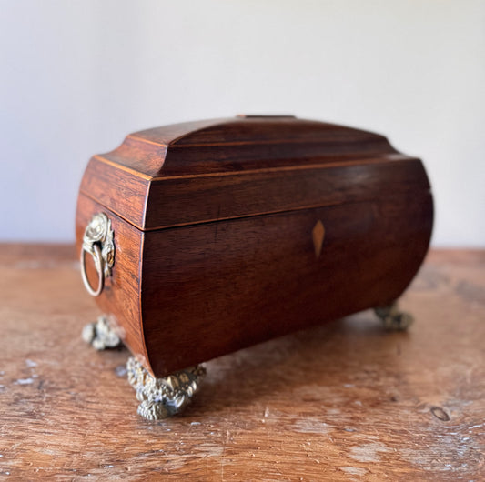Antique Regency Mahogany Sarcophagus Tea Caddy circa 1820