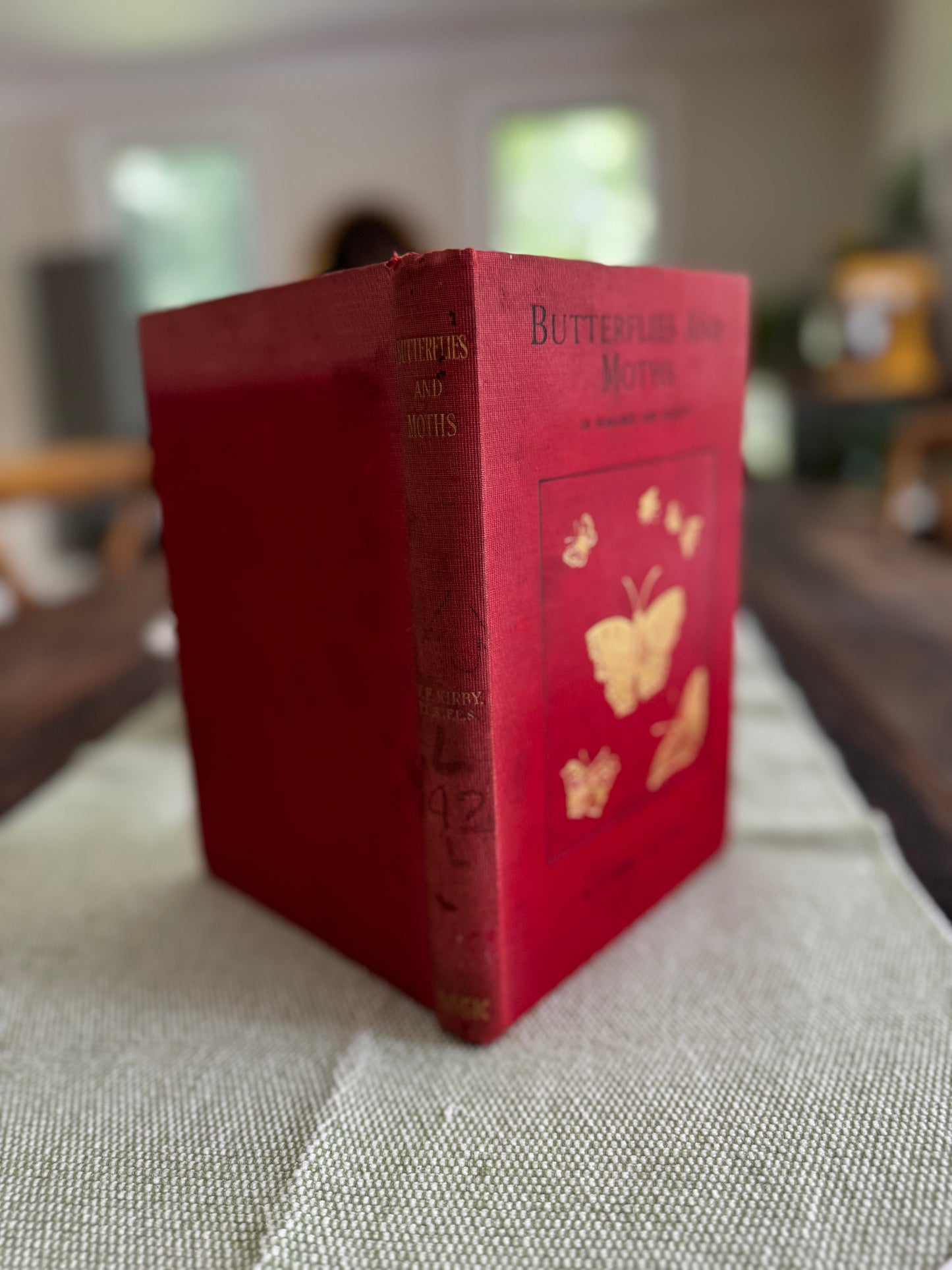 Butterflies & Moths by WF Kirby London 1913 Illustrated Book