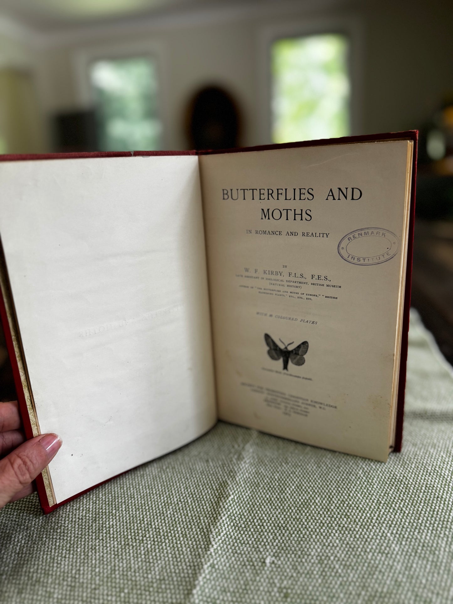 Butterflies & Moths by WF Kirby London 1913 Illustrated Book