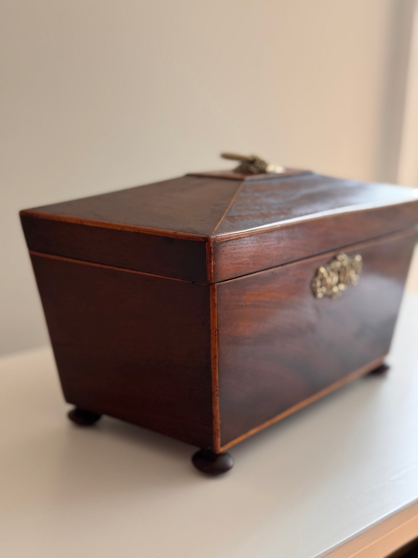 Antique Regency Wood Brass Sarcophagus Tea Caddy With Bowl Floral Detail