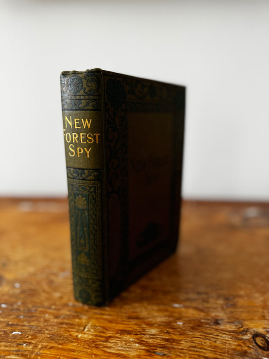 New Forest Spy by George Fenn 1900s Decorative Book John F Shaw Publushing
