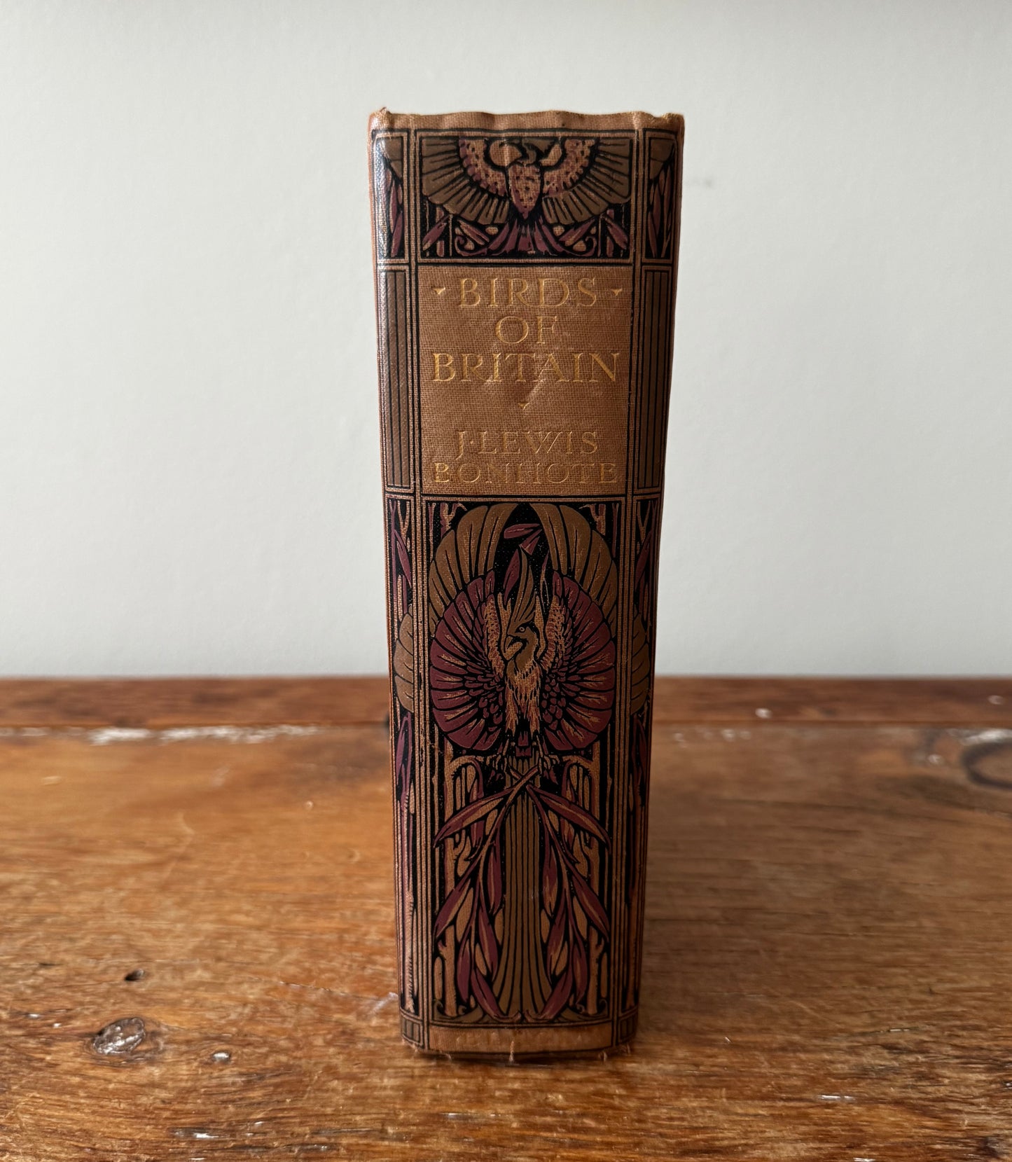Bird of Britain by J. Lewis Bonhote 1907 Highly Illustrated Book
