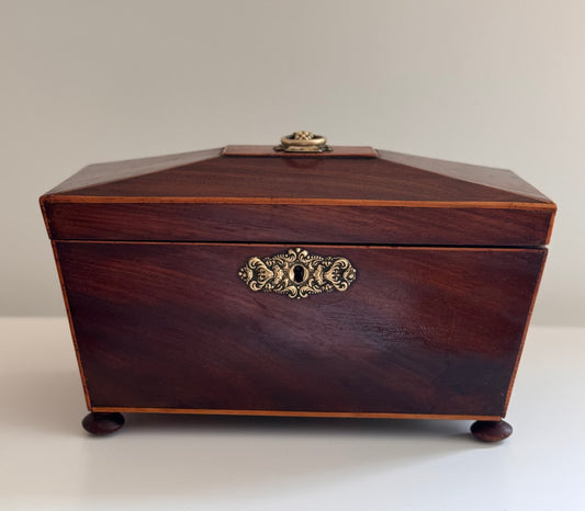 Antique Regency Wood Brass Sarcophagus Tea Caddy With Bowl Floral Detail