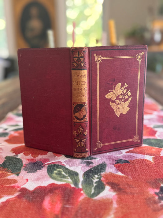 RESERVED FOR RHI Antique Victorian Copy of Common British Butterflies by WS Coleman Routledge 1880