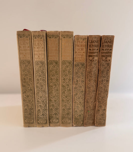 Antique Charlotte Bronte Book Set 1905 JM Dent Edmund Dulac Illustrated