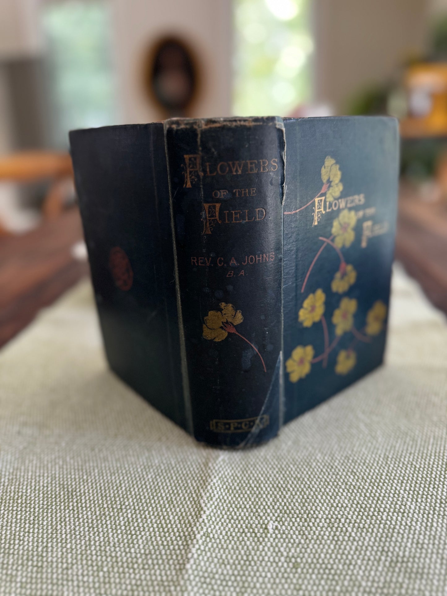 Antique Flowers of the Field Rev CA Johns 1884 Book
