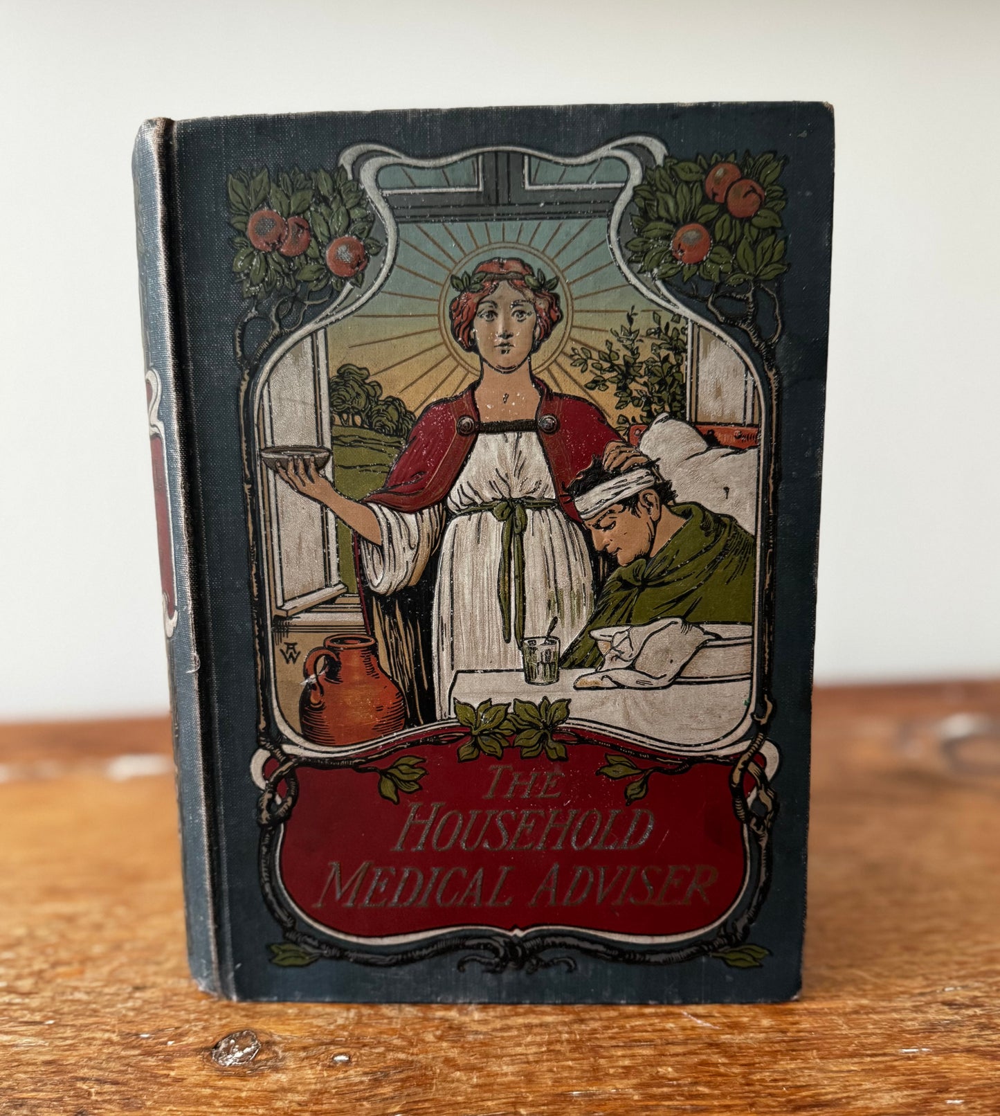 The Household Medical Advisor by Muller, MD 1900s Book Illustrated