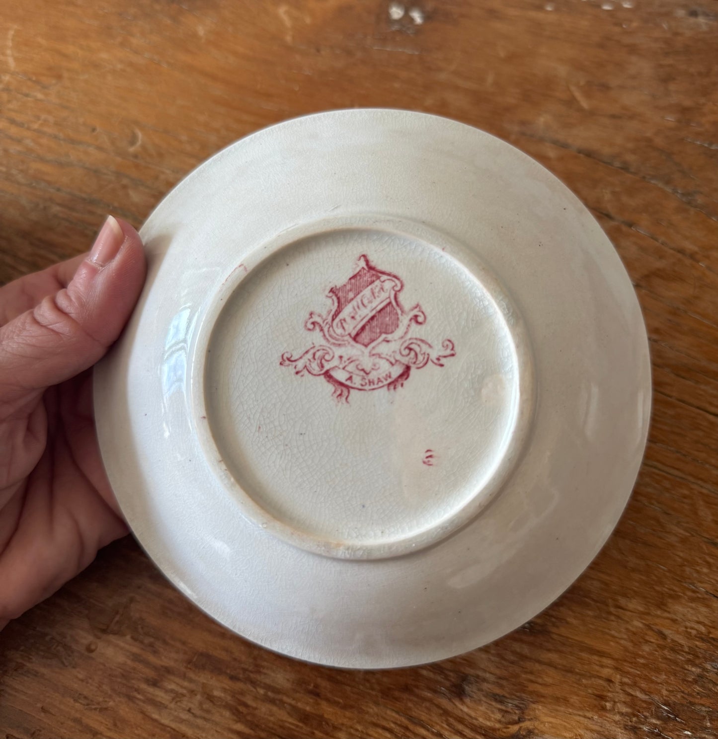 Antique Late 19c Victorian A Shaw Red Pomona Transferware Tea Cup & Saucer Set